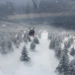 蔵王　樹氷